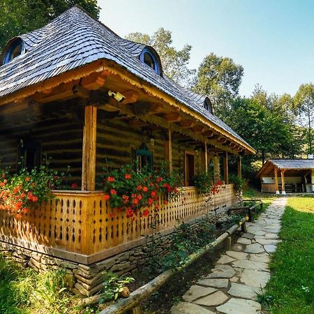 Villa Casa Lu' Ion Vişeu de Sus Esterno foto