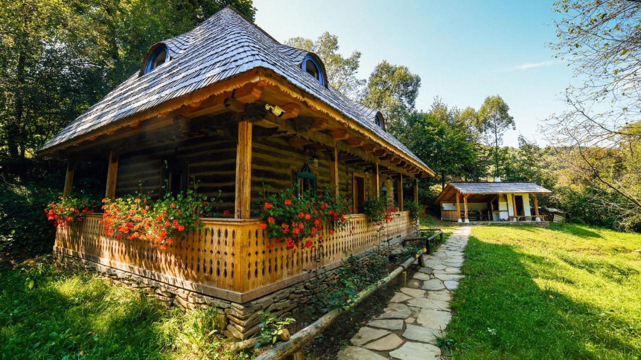 Villa Casa Lu' Ion Vişeu de Sus Esterno foto
