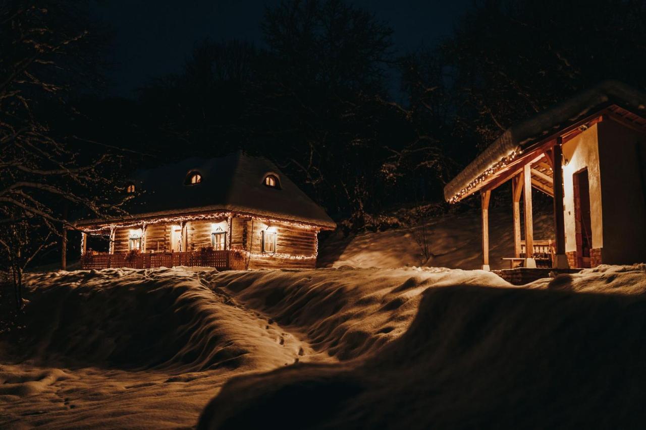 Villa Casa Lu' Ion Vişeu de Sus Esterno foto