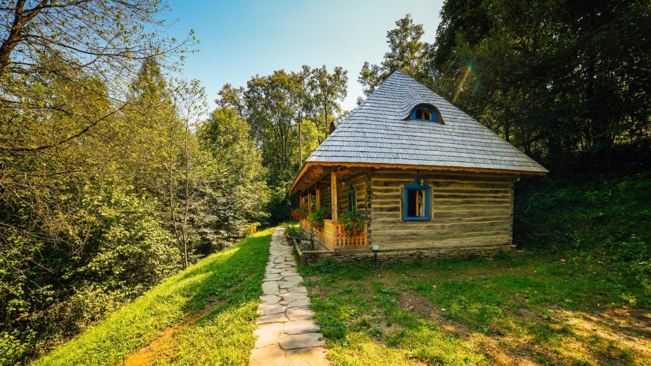 Villa Casa Lu' Ion Vişeu de Sus Esterno foto