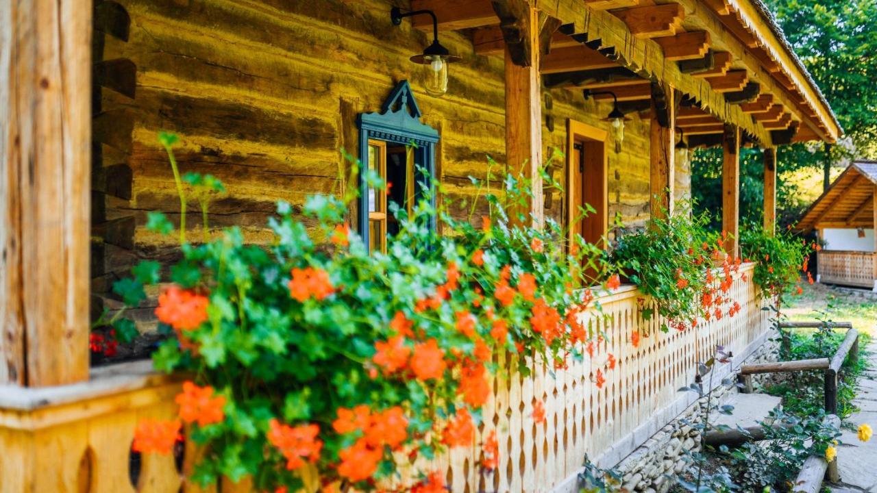 Villa Casa Lu' Ion Vişeu de Sus Esterno foto