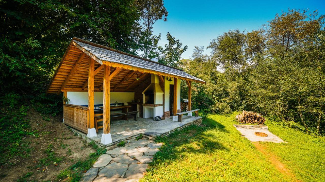 Villa Casa Lu' Ion Vişeu de Sus Esterno foto