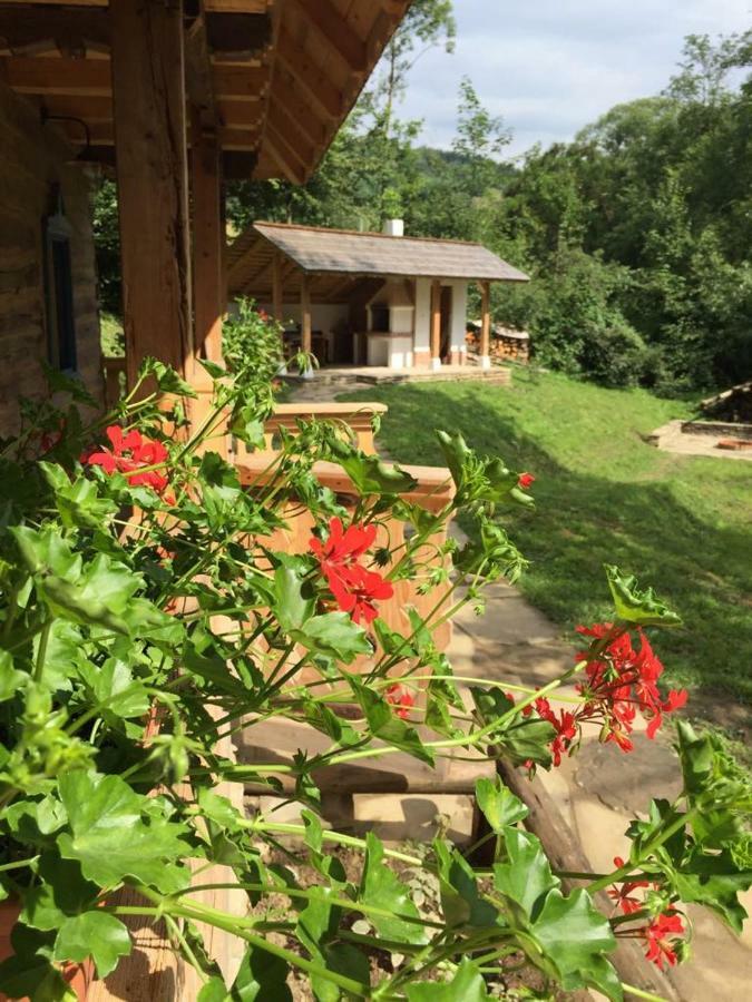 Villa Casa Lu' Ion Vişeu de Sus Esterno foto