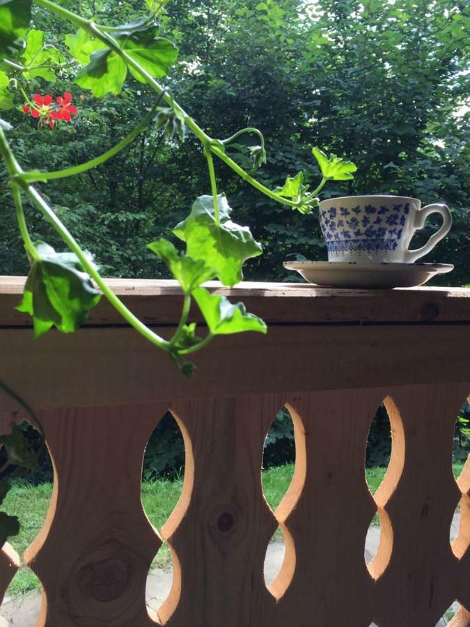 Villa Casa Lu' Ion Vişeu de Sus Esterno foto